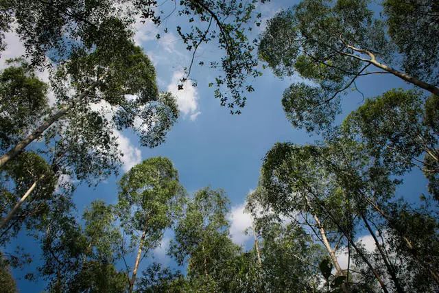 广州婚纱摄影排行榜前十名的拍摄地 广州婚纱摄影排行榜前十名的拍摄地